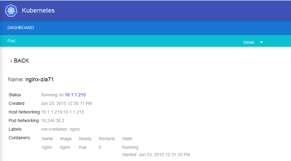 Information of your pods kubernetes